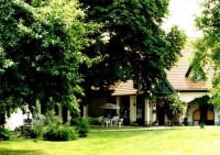 Vadgesztenye panzió